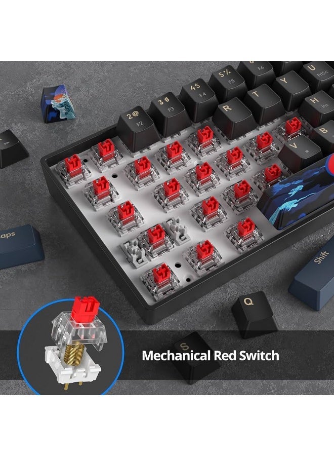 JeDEL KL141 68% Mechanical Gaming Keyboard (Arabic/English) 68 Keys – RED Switch - Rainbow LED Backlit – Double injection key caps Illumination – USB Wired For PC (Black/Red) - Image 2
